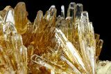 Honey Yellow Celestine (Celestite) Crystal Cluster - Poland #175409-2